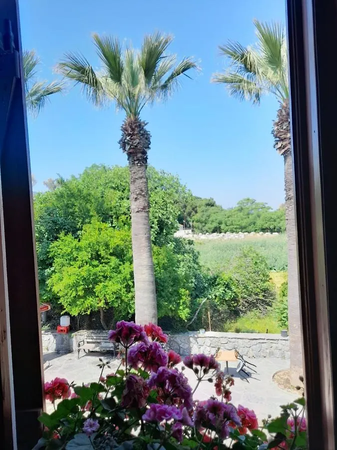 Casa Callinos Bed & Breakfast Selçuk Turcia