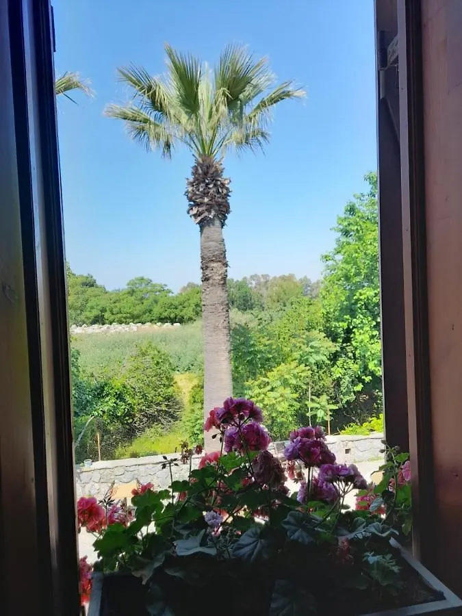 Casa Callinos Bed & Breakfast Selçuk